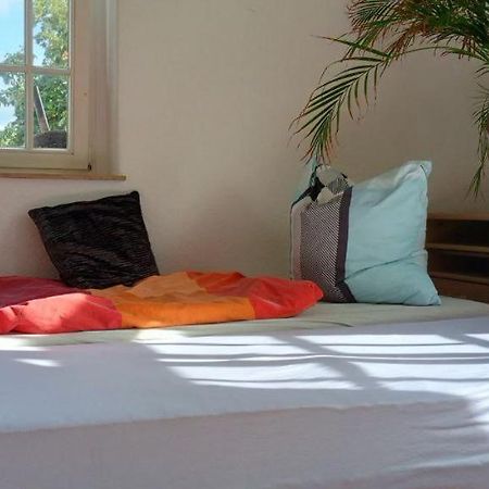 Forrest Apartments In Freiberg Min Stay 2 Nights Max Number Of Guest 1 Aprt 1 Kültér fotó