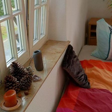 Forrest Apartments In Freiberg Min Stay 2 Nights Max Number Of Guest 1 Aprt 1 Kültér fotó