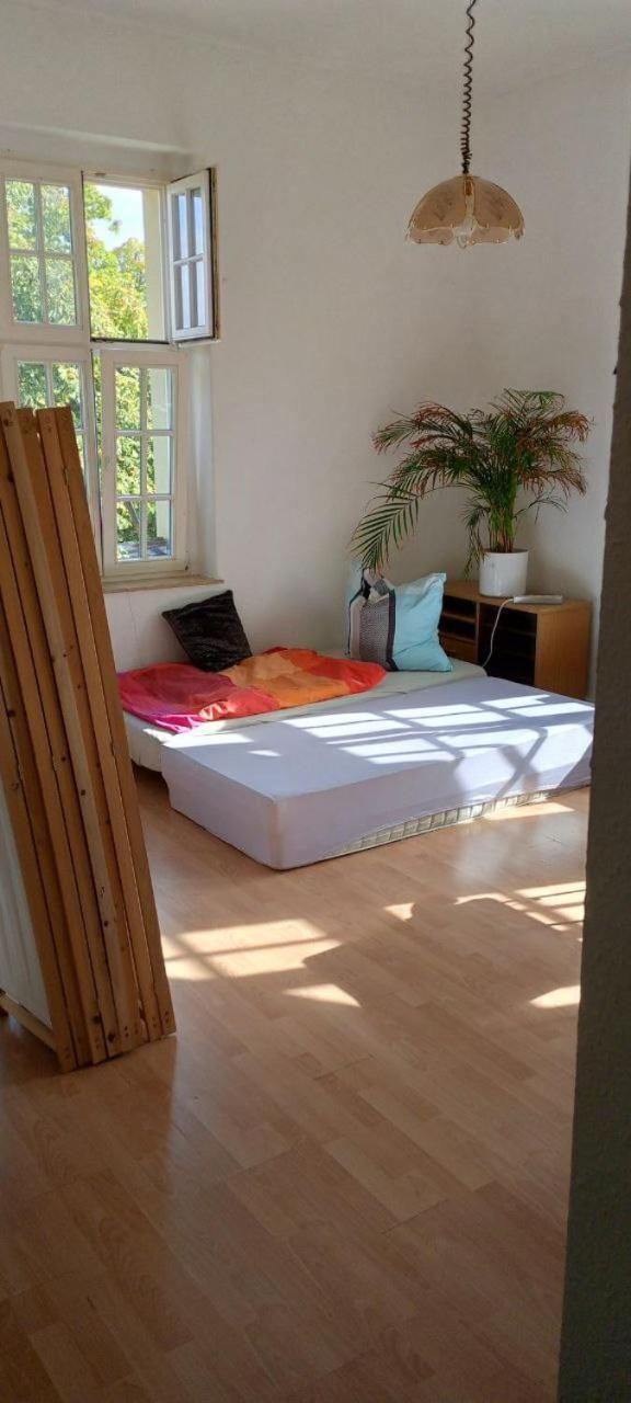 Forrest Apartments In Freiberg Min Stay 2 Nights Max Number Of Guest 1 Aprt 1 Kültér fotó