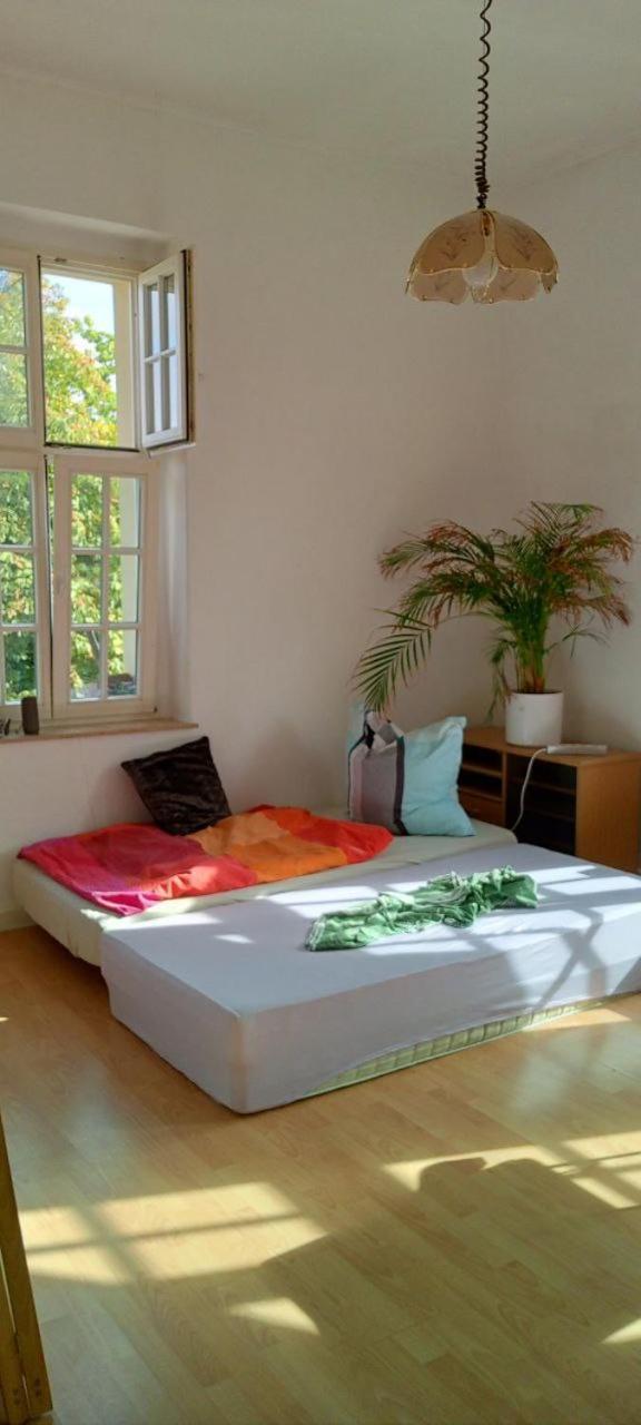 Forrest Apartments In Freiberg Min Stay 2 Nights Max Number Of Guest 1 Aprt 1 Kültér fotó