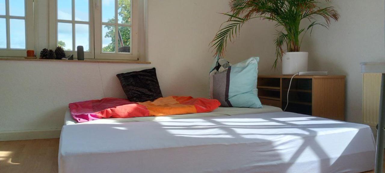 Forrest Apartments In Freiberg Min Stay 2 Nights Max Number Of Guest 1 Aprt 1 Kültér fotó